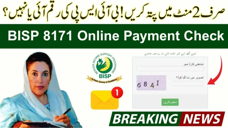 How to Check 8171 BISP Payment Online in 2 Minutes [Easy Guide]