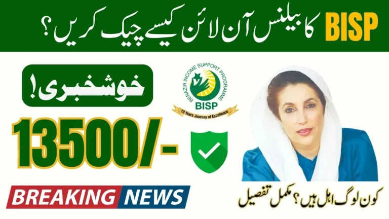 BISP 8171 Online Balance Check 2025 – Easy Steps to Verify Payment