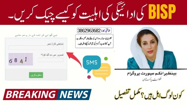 BISP 8171 Payment Eligibility Check Status Using SMS & Web Portal 2025