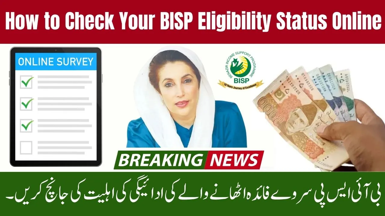 Benazir Income Support Program 2025 Survey – Who Can Receive Payments?