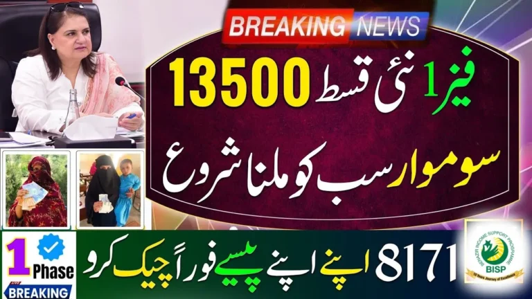 8171 Ehsaas Program CNIC Check Through Web Portal – Complete Guide 2025