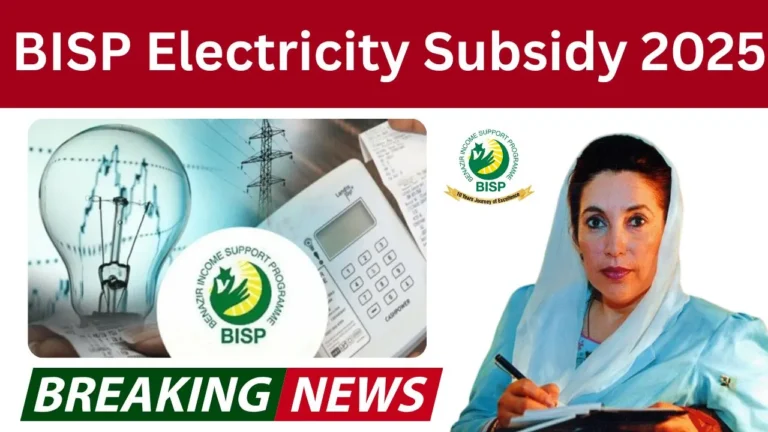 BISP Electricity Subsidy 2025 [Latest Update]