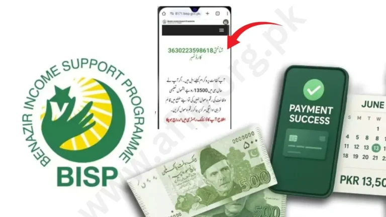 BISP Dynamic Survey 2025 Registration at BISP Tehsil Offices – Step-by-Step Guide