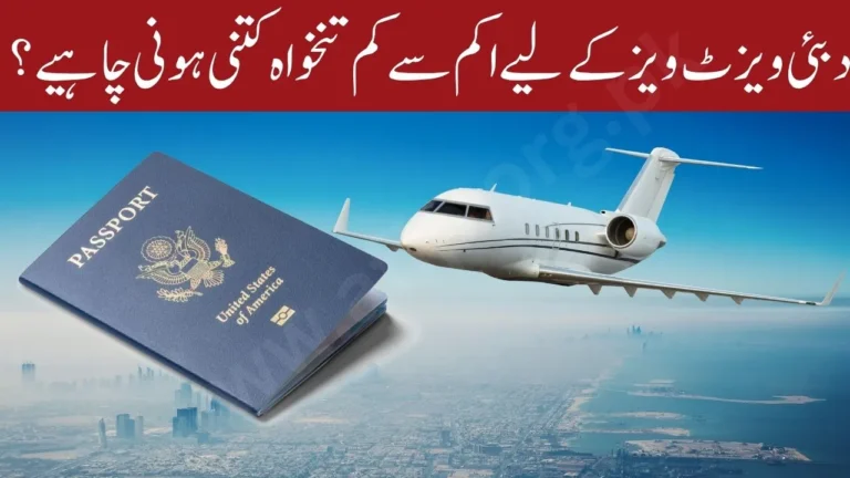 UAE Visit Visa Salary Requirement 2025 – Complete Guide for Pakistanis and Expats (New Update)